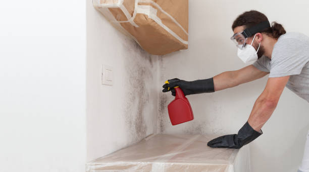 Professional Mold Remediation technician working in Massapequa, NY